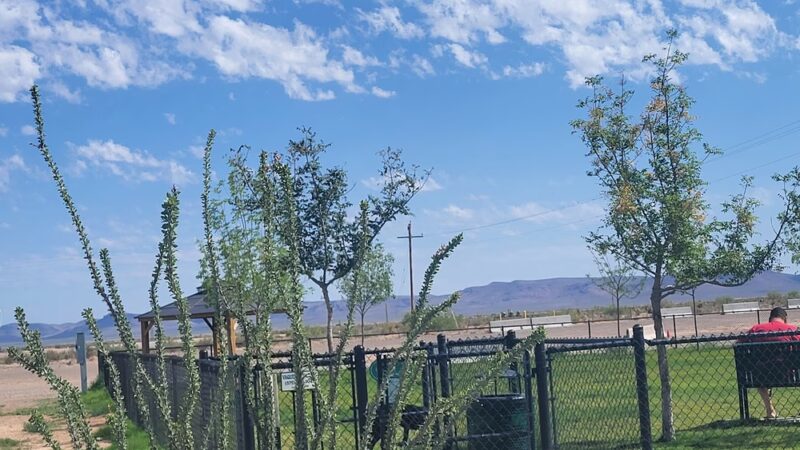 Dogs Park - Deming, NM