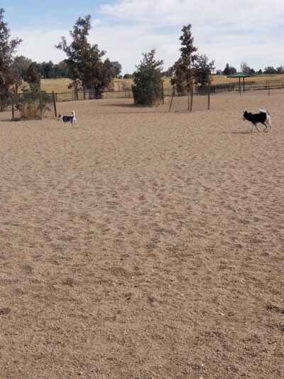 Lowry Dog Park - Denver, CO