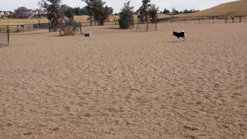 Lowry Dog Park - Denver, CO