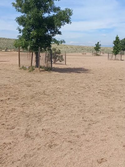 Lowry Dog Park - Denver, CO