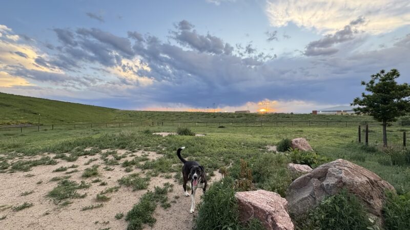 Lowry Dog Park - Denver, CO