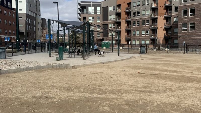 Rail Yard Dog Park - Denver, CO