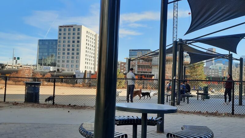 Rail Yard Dog Park - Denver, CO