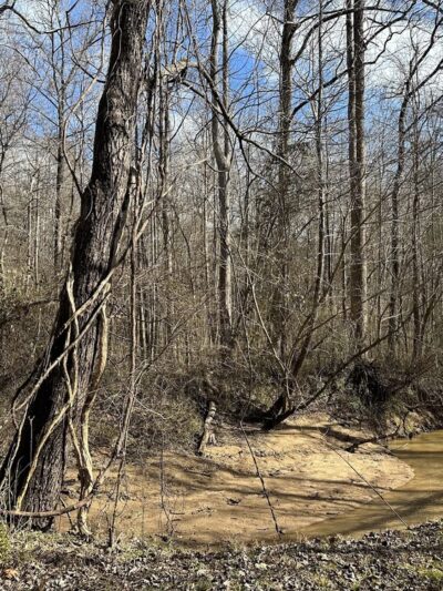 Forney Creek Trail Trailhead - Denver, NC