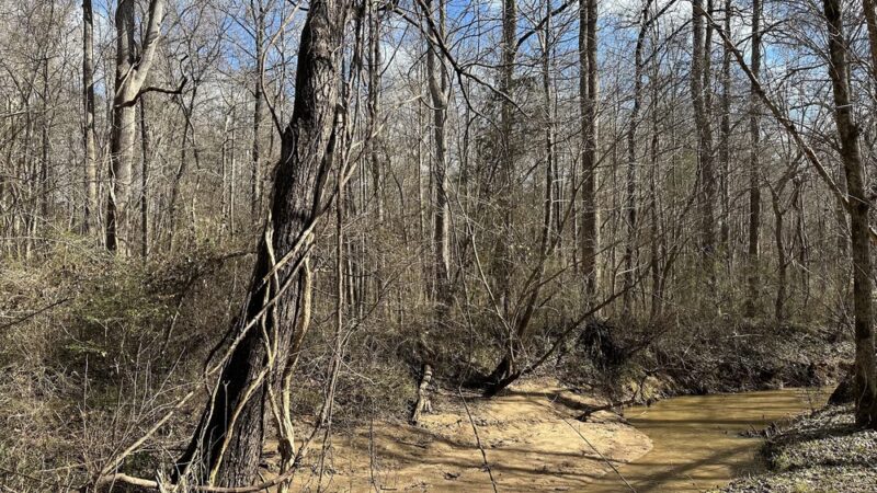 Forney Creek Trail Trailhead - Denver, NC
