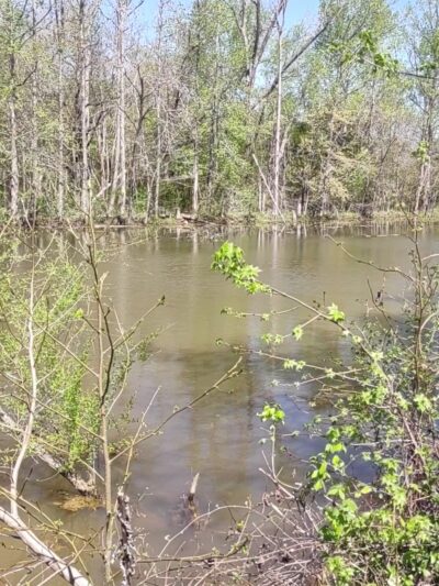 Forney Creek Trail Trailhead - Denver, NC