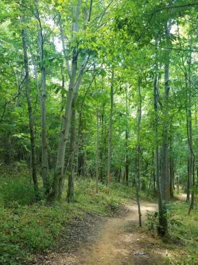 Forney Creek Trail Trailhead - Denver, NC