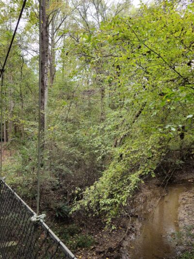 Forney Creek Trail Trailhead - Denver, NC