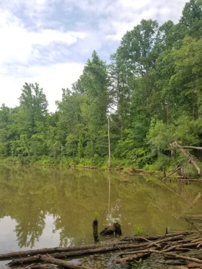 Forney Creek Trail Trailhead - Denver, NC