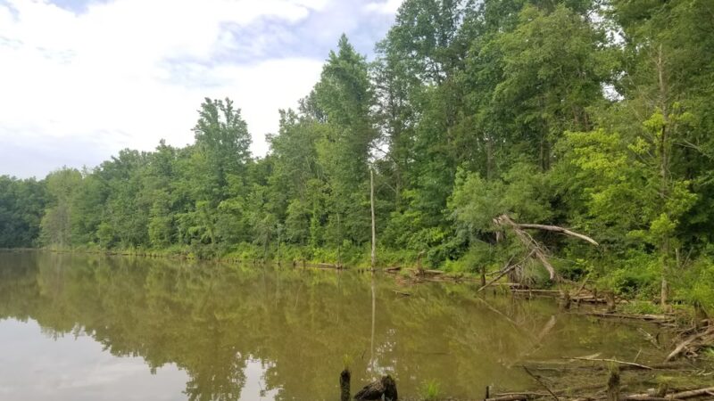Forney Creek Trail Trailhead - Denver, NC