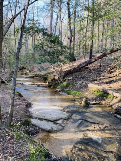 Rock Springs Nature Preserve - Denver, NC