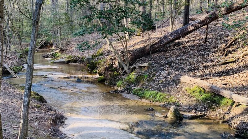 Rock Springs Nature Preserve - Denver, NC