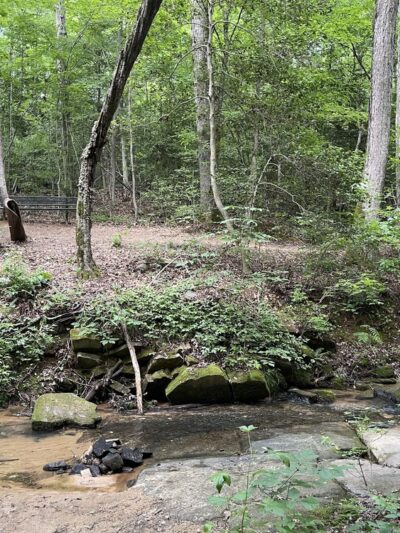 Rock Springs Nature Preserve - Denver, NC
