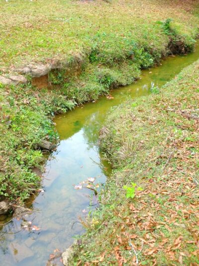 Dequincy Park - Dequincy, LA