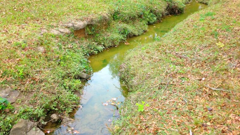 Dequincy Park - Dequincy, LA