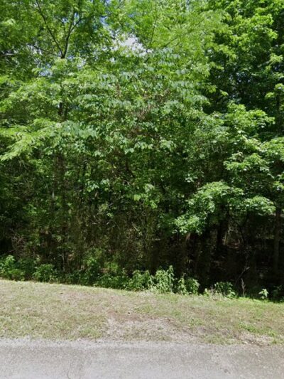 Campground 1 - Des Arc, MO