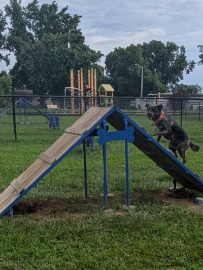 Brightwell Dog Park - Desloge, MO