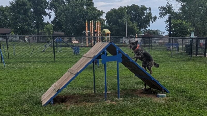 Brightwell Dog Park - Desloge, MO