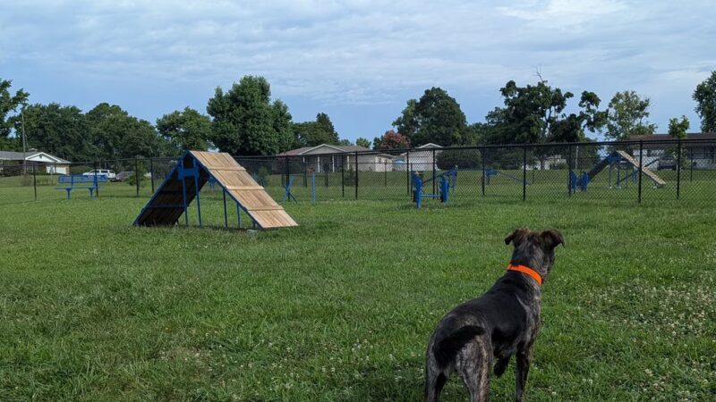 Brightwell Dog Park - Desloge, MO