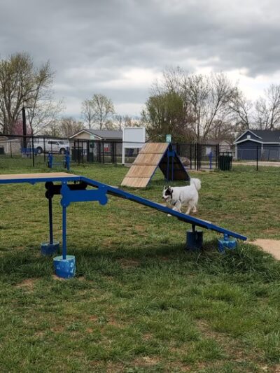 Brightwell Dog Park - Desloge, MO