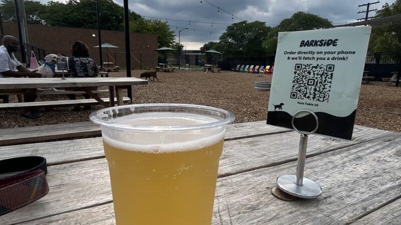 Barkside Detroit - Detroit, MI