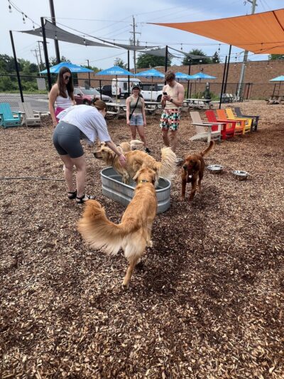 Barkside Detroit - Detroit, MI