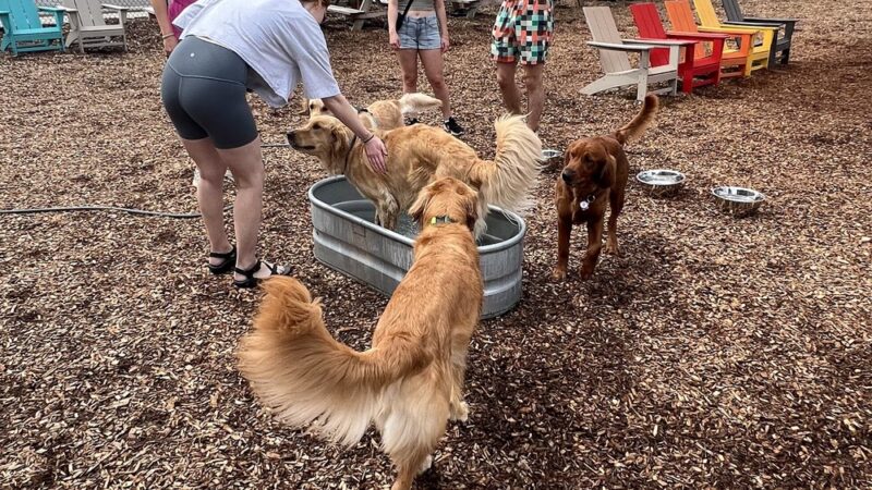 Barkside Detroit - Detroit, MI