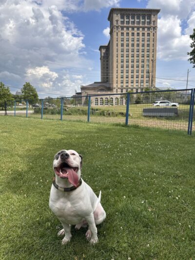 Detroit Dog Park - Detroit, MI