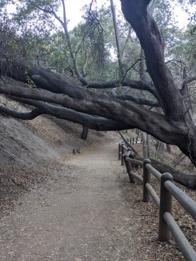 Sycamore Canyon Park - Diamond Bar, CA