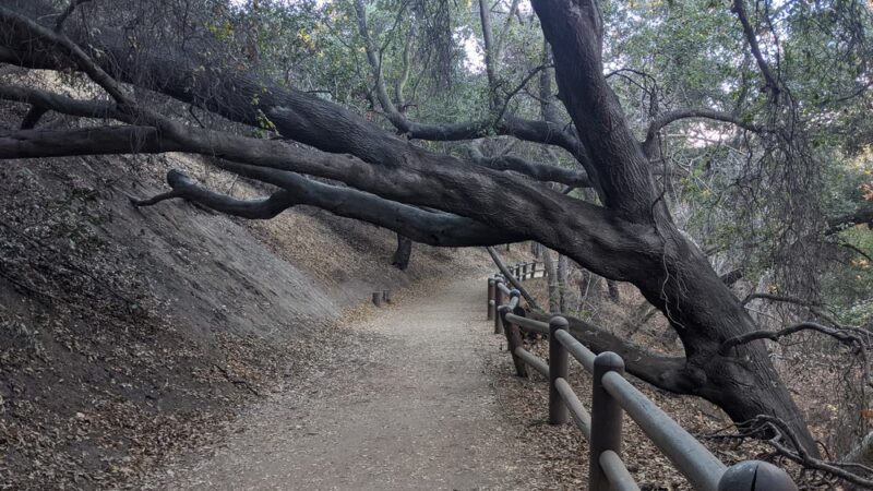 Sycamore Canyon Park - Diamond Bar, CA