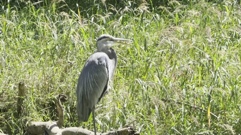 Dickerson Conservation Park - Dickerson, MD