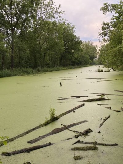 Dickerson Conservation Park - Dickerson, MD