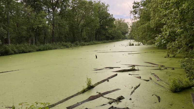 Dickerson Conservation Park - Dickerson, MD