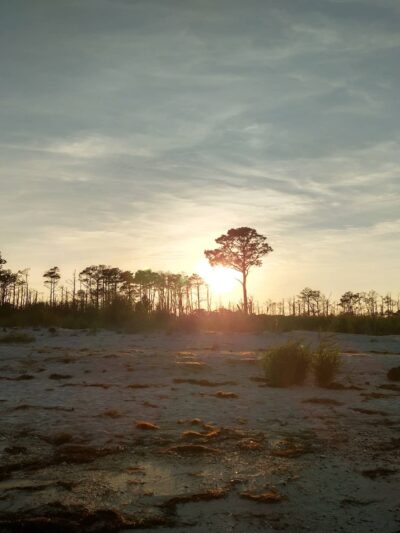Haven Beach - Diggs, VA