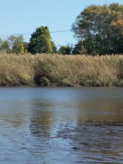 Tricentennial Park - Dighton, MA