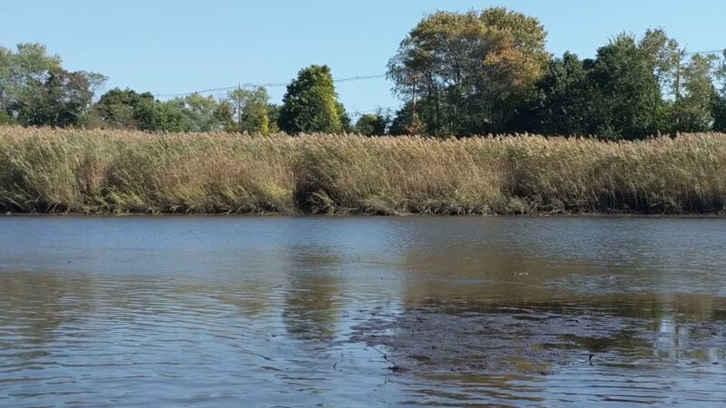 Tricentennial Park - Dighton, MA