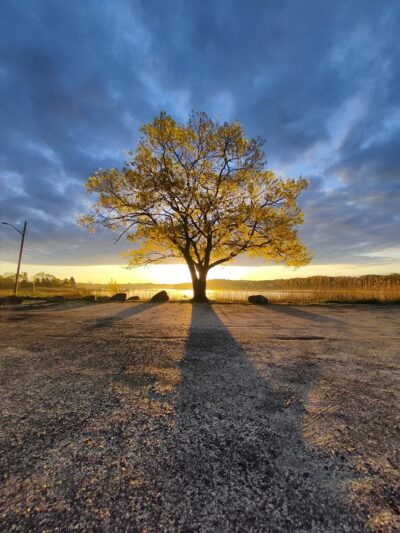 Tricentennial Park - Dighton, MA
