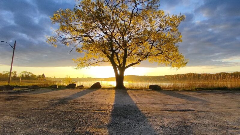 Tricentennial Park - Dighton, MA