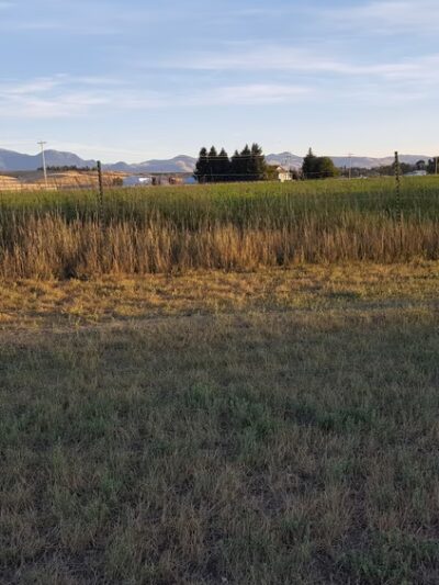 Old Soccer Fields - Dillon, MT