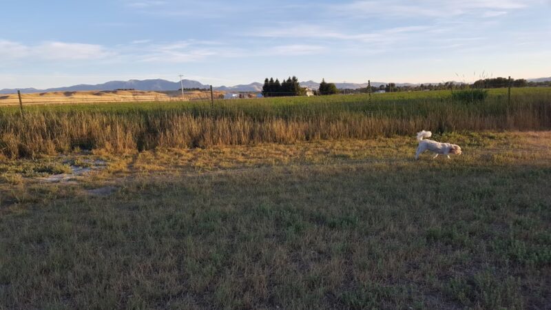 Old Soccer Fields - Dillon, MT