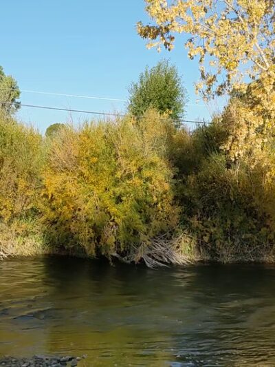Selway Park - Dillon, MT