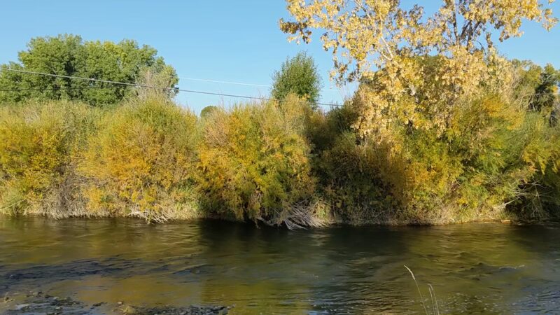 Selway Park - Dillon, MT
