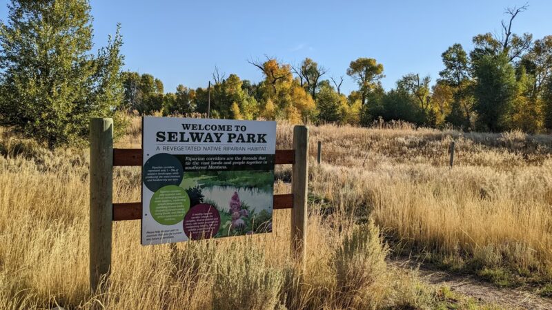 Selway Park - Dillon, MT