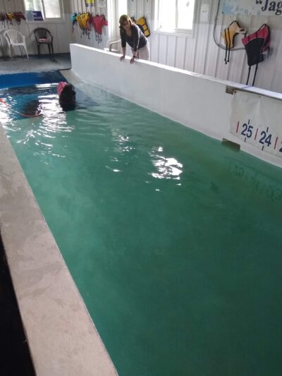 Canine Spa Dog Swimming - Dillsburg, PA