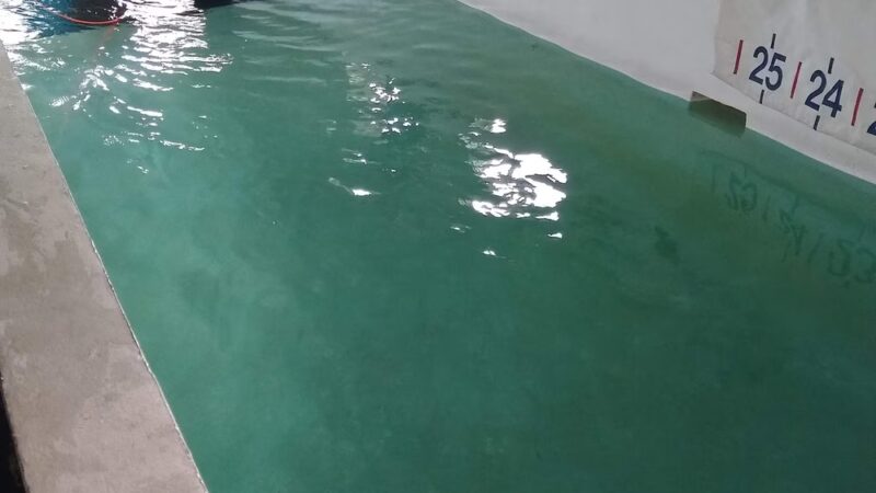 Canine Spa Dog Swimming - Dillsburg, PA