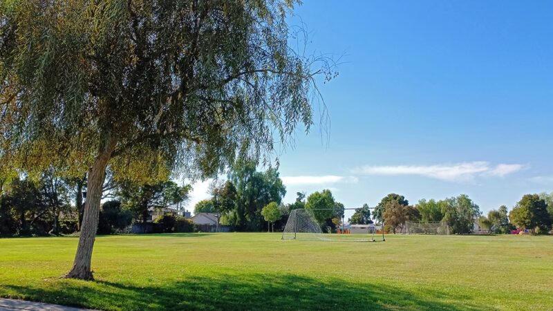 Cornell Park - Discovery Bay, CA