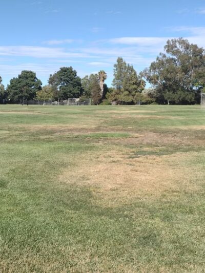 Cornell Park - Discovery Bay, CA