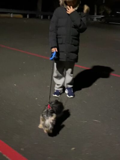 99 Cedar Street Parking Lot - Dobbs Ferry, NY