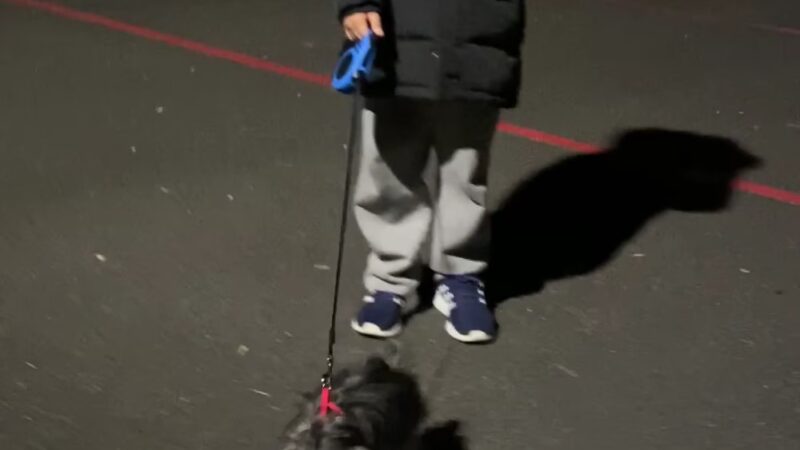 99 Cedar Street Parking Lot - Dobbs Ferry, NY