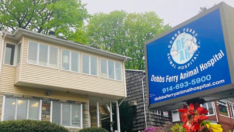 Dobbs Ferry Animal Hospital - Dobbs Ferry, NY